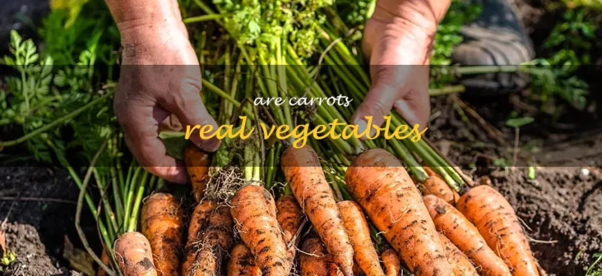 Is carrot a root or stem?